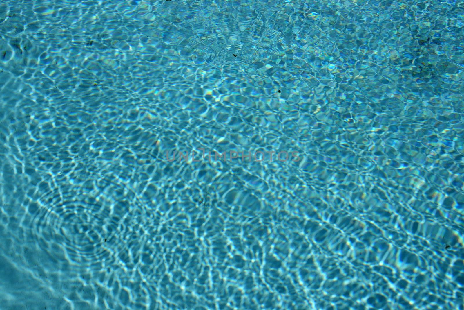 pool water by keki