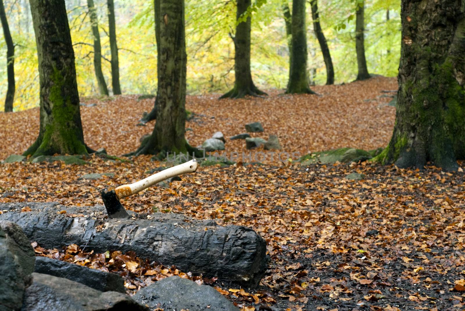 portrait of forest with an axe on a stub 