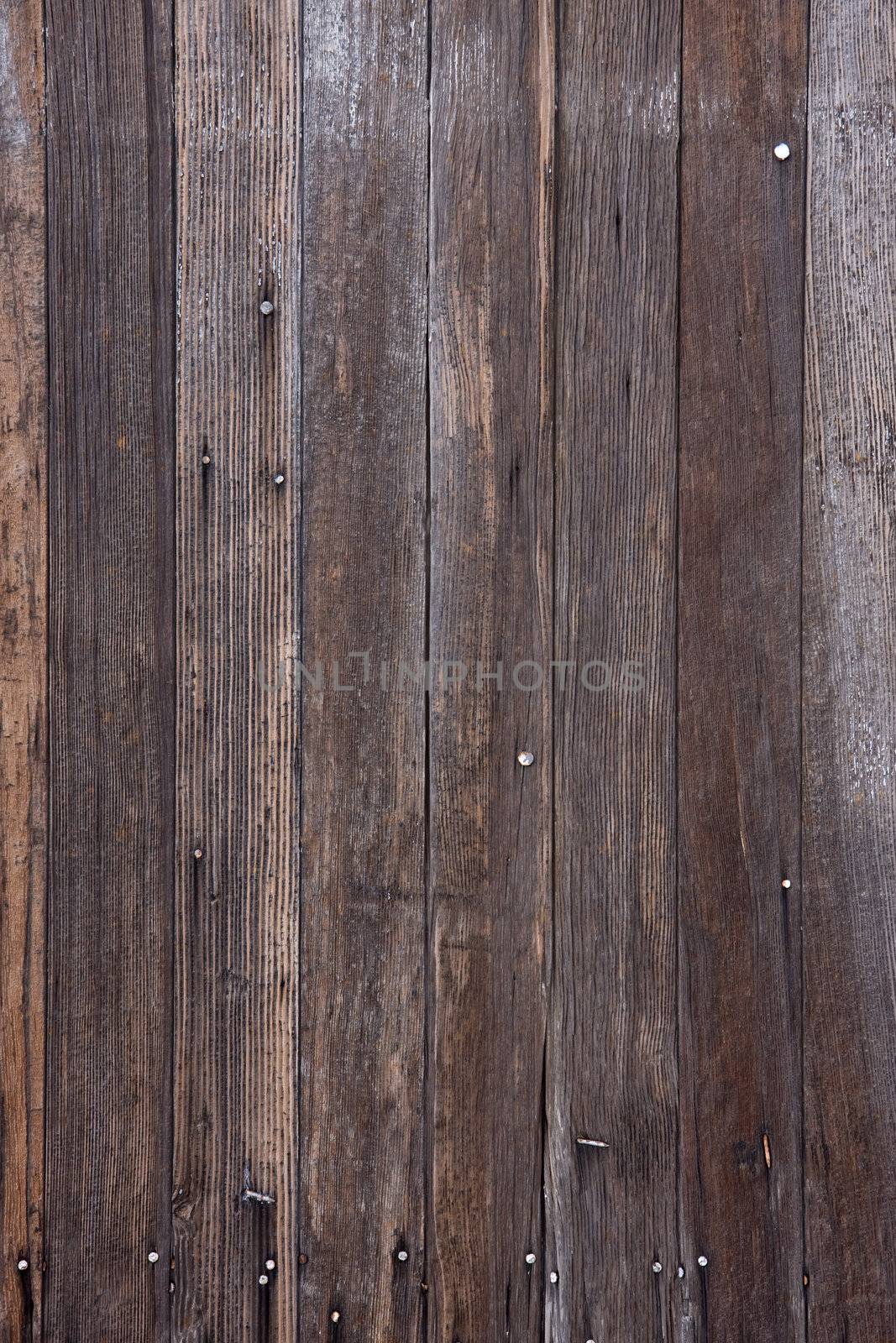 weathered wood with nails and traces of white paint by PixelsAway