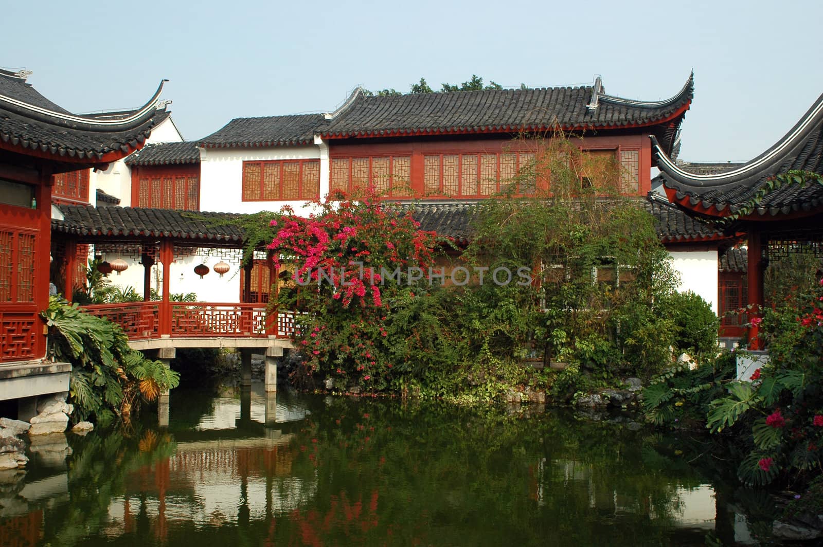 Chinese, traditional, wooden houses with simple garden, pond and small bridge.