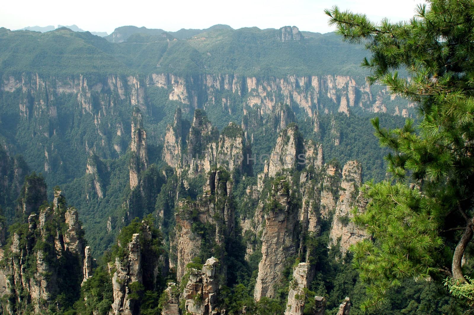 China, Hunan province - national park ZhangJiaJie. Unique landscape with trees, bushes, hills and cliffs.