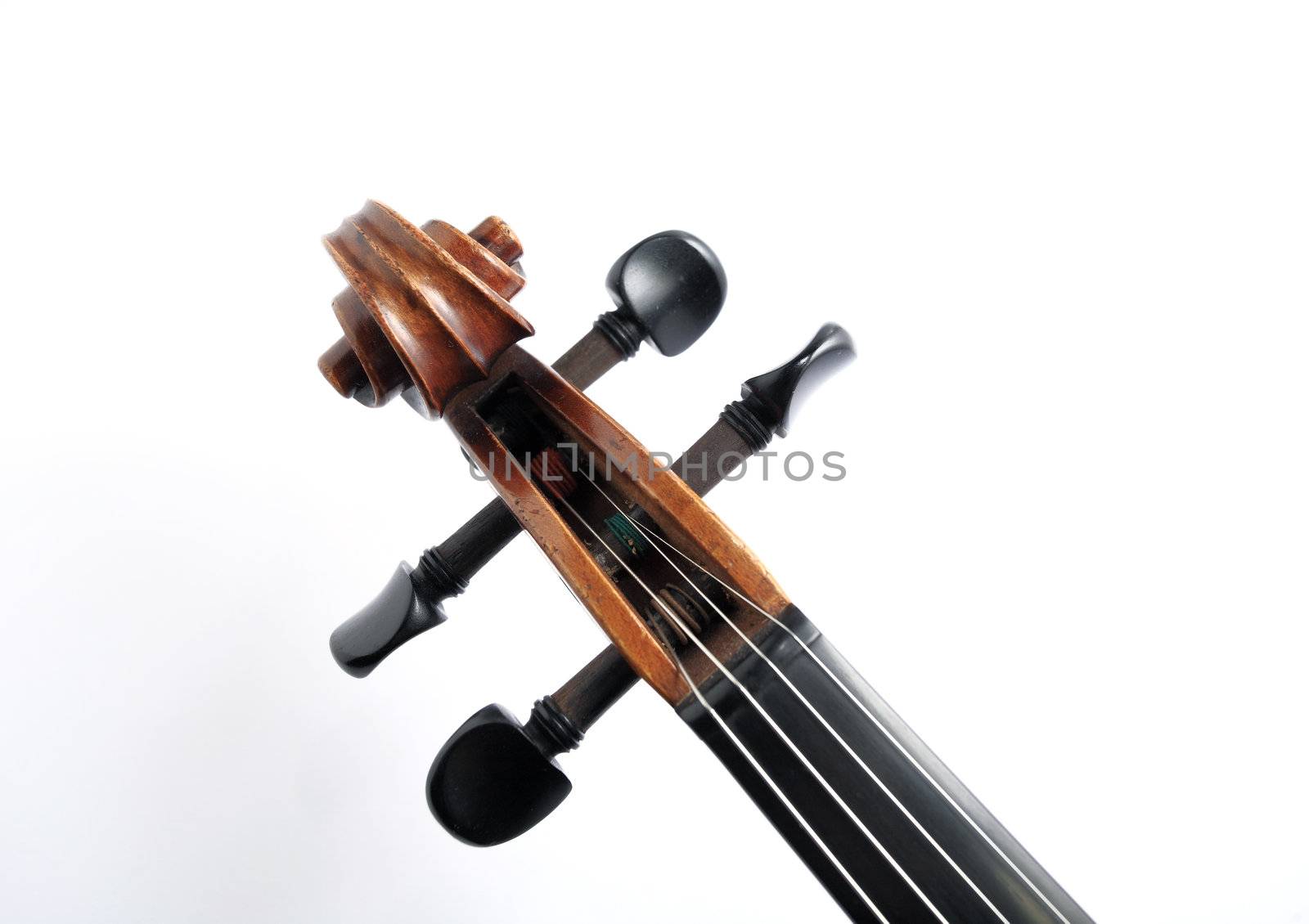 Details of violin head