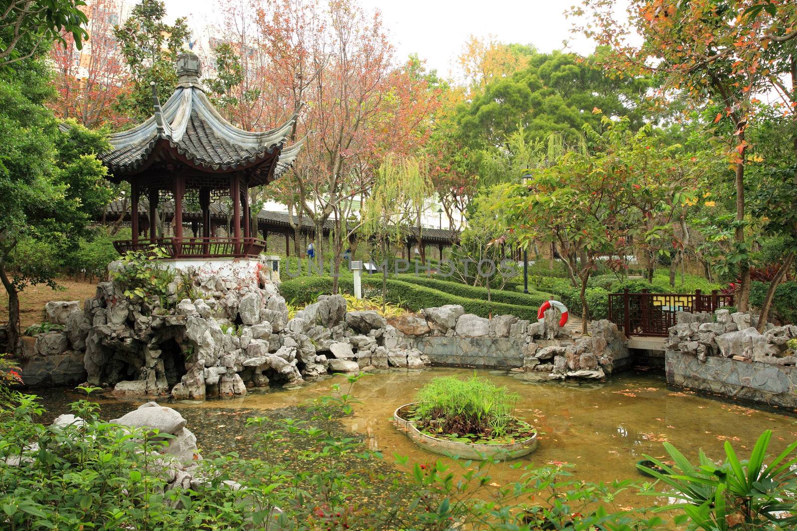 a chinese garden
