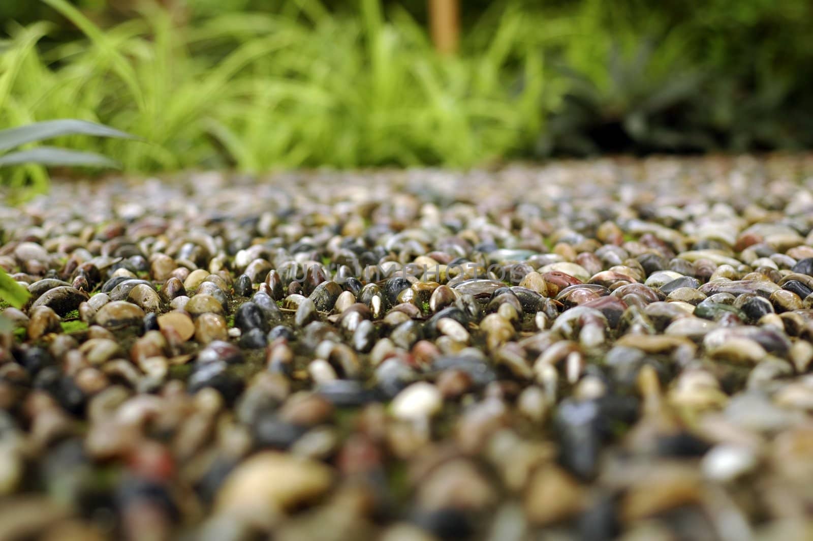 Foot reflexology path with cobblestone located at botanical park