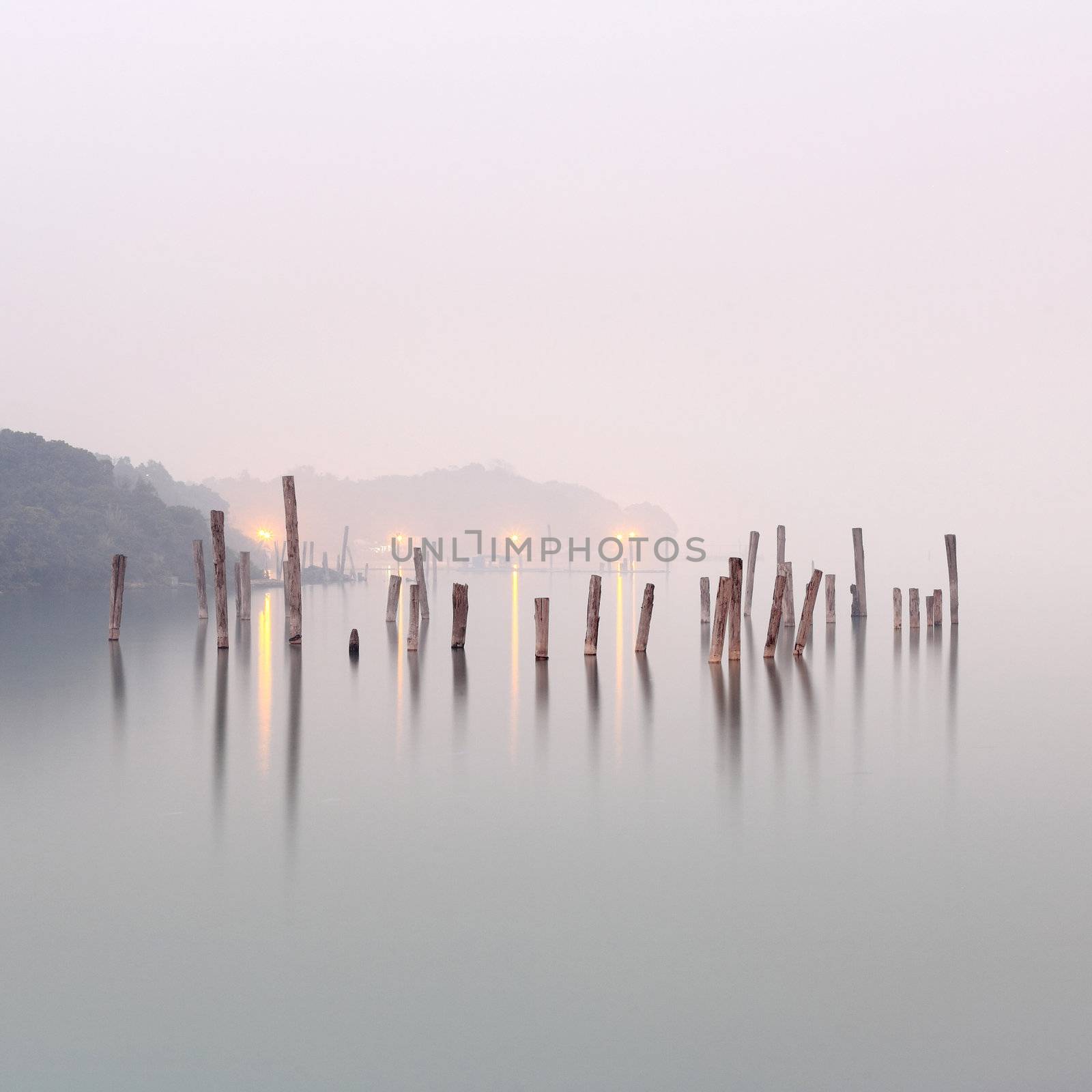 wood in water by leungchopan