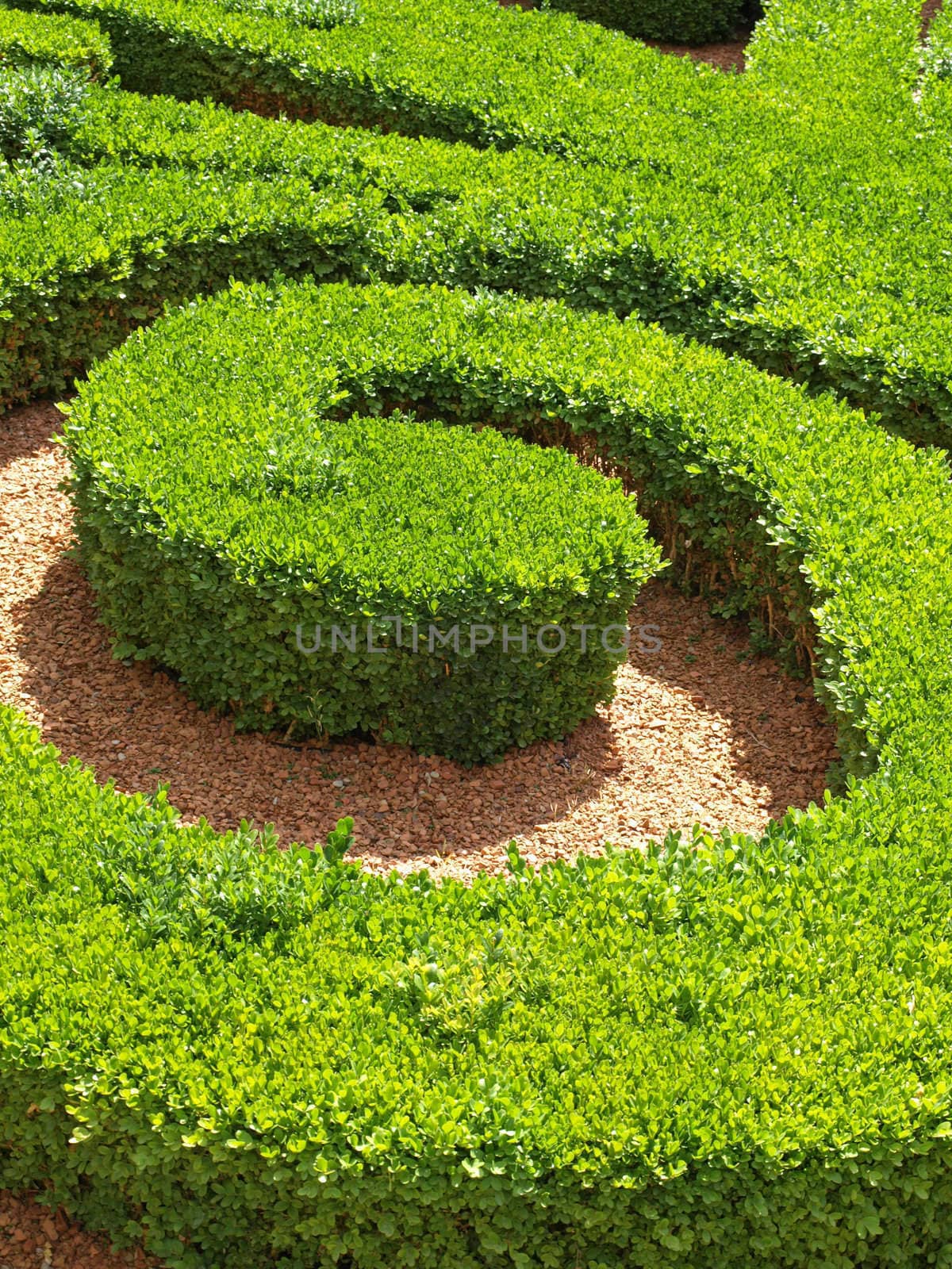 a close-up of a french garden in a parisian museum