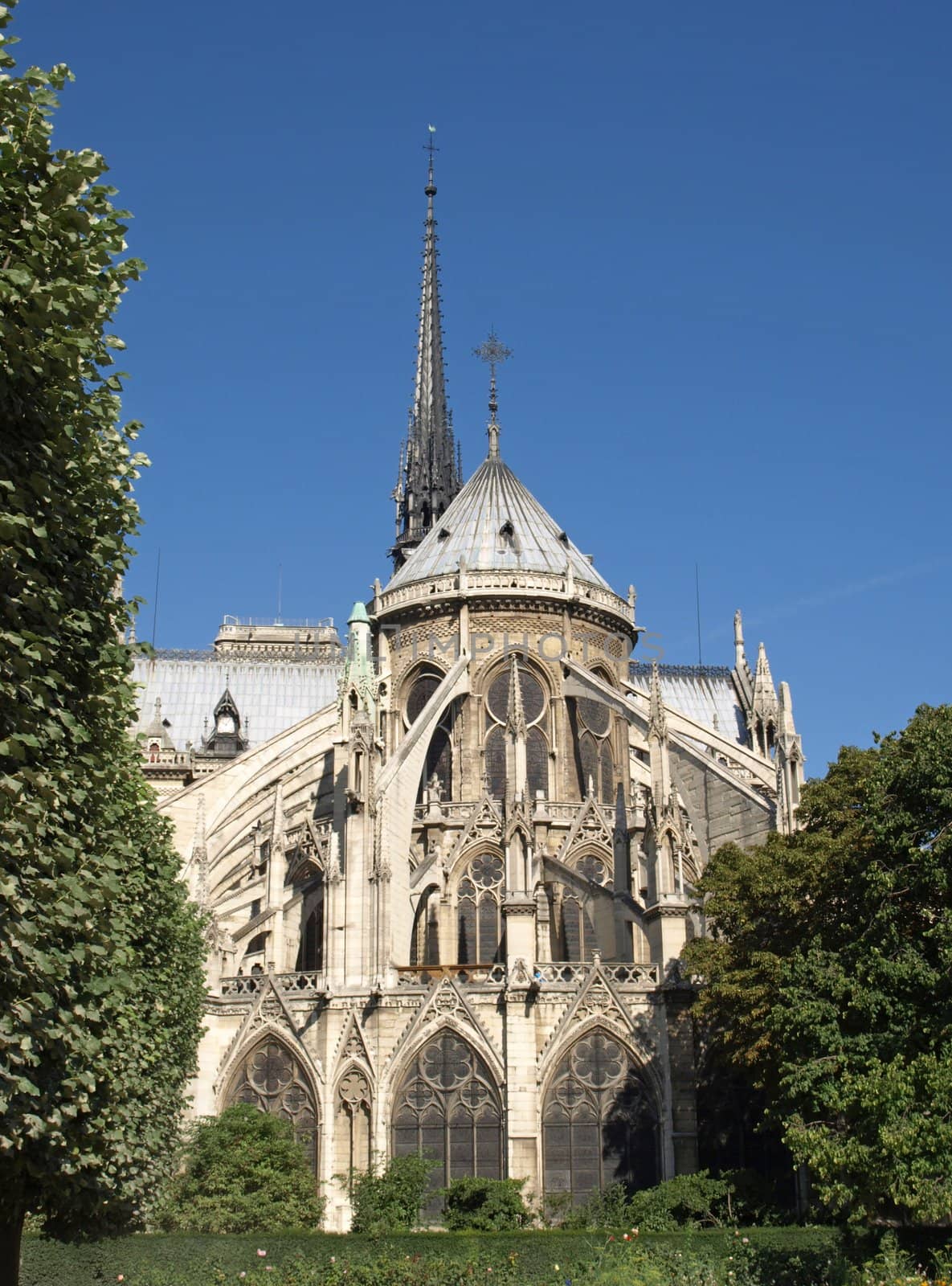 An Image of Notre-Dame Cathedral in Paris