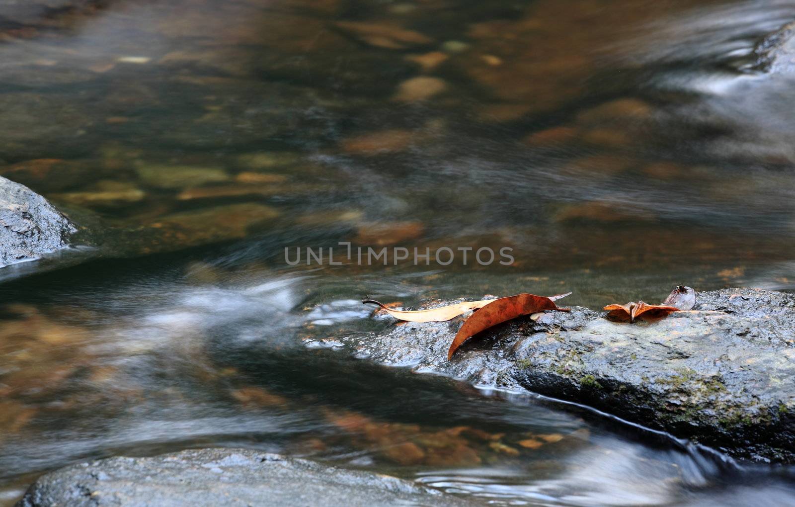 peaceful water spring by leungchopan