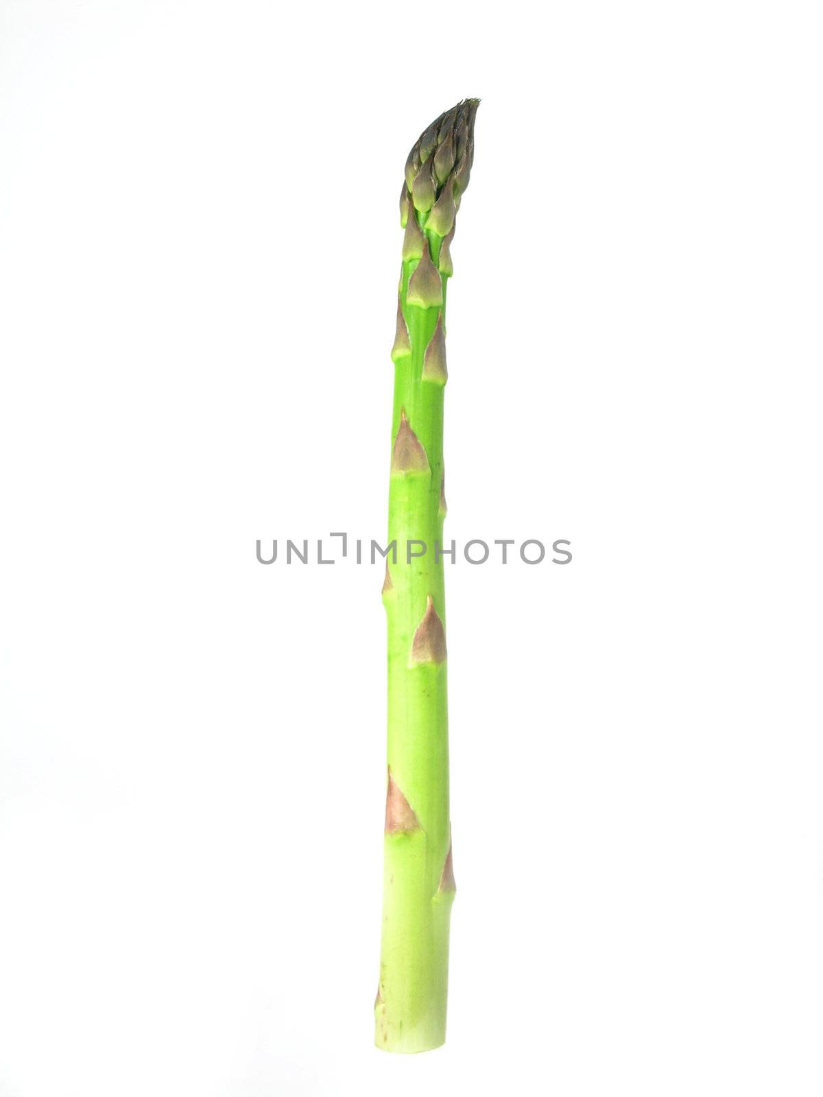  bunch of asparagus isolated on white background