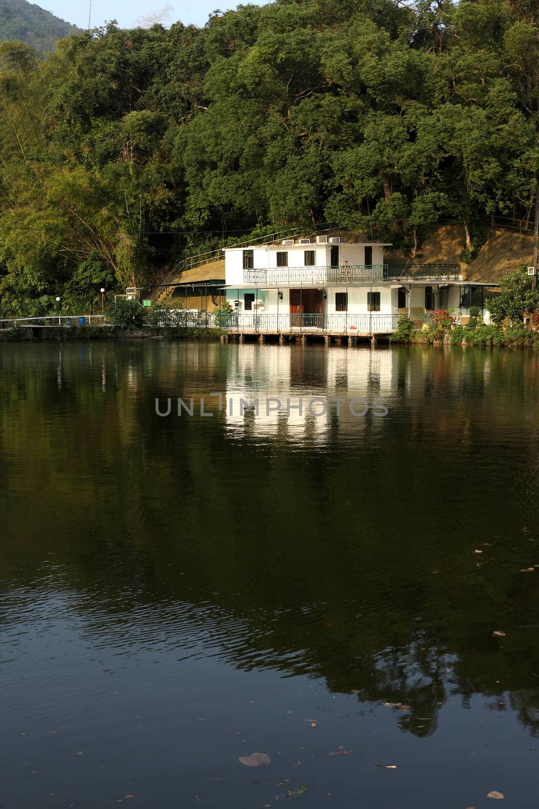 house beside a lake