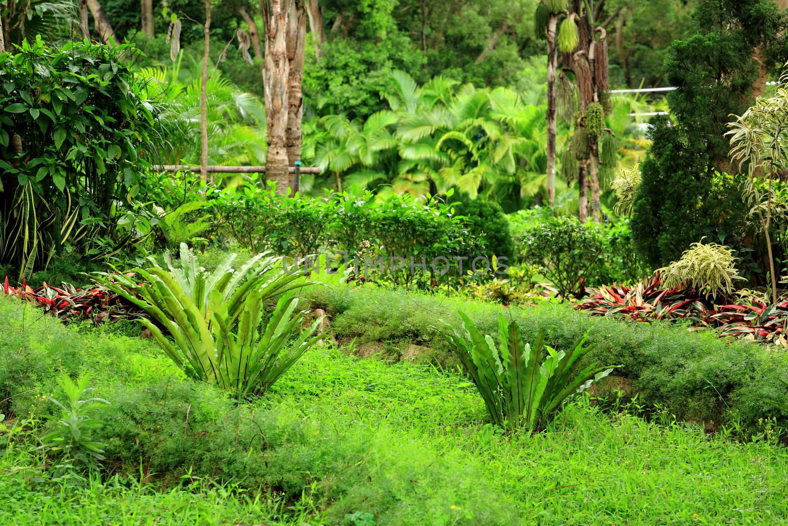 green plants background