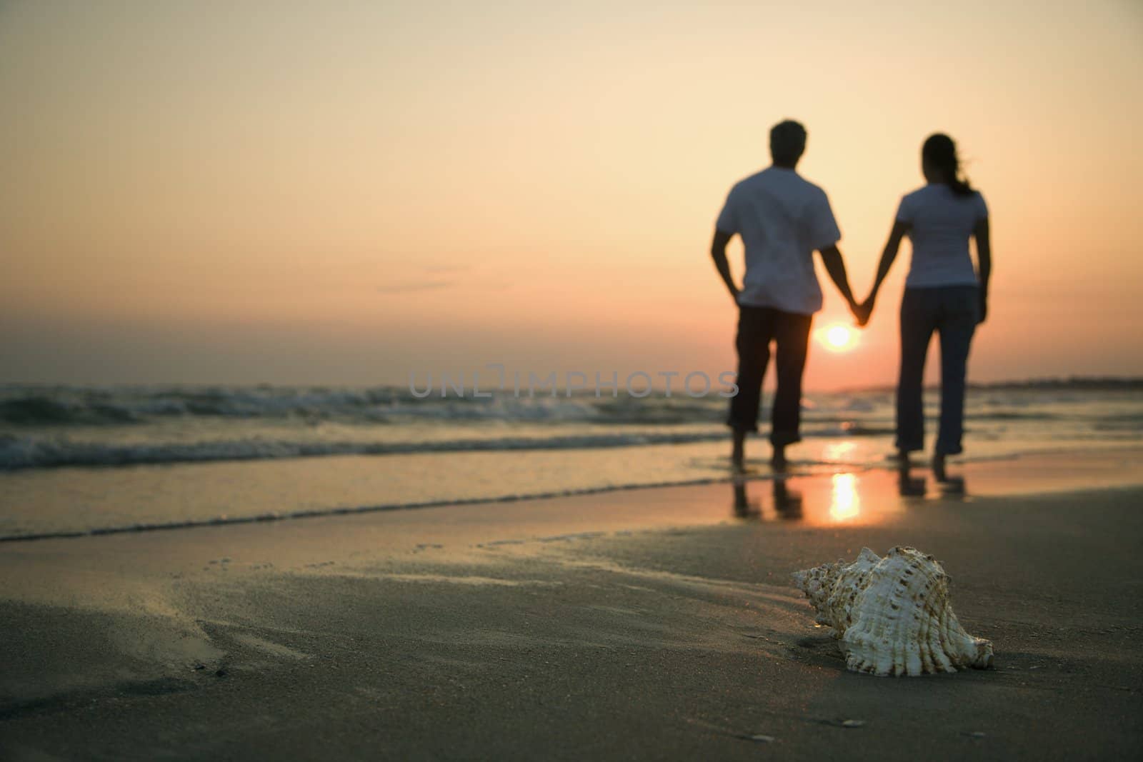 Back view of mid-adult couple holding hands walking on beach with seashell in foreground.