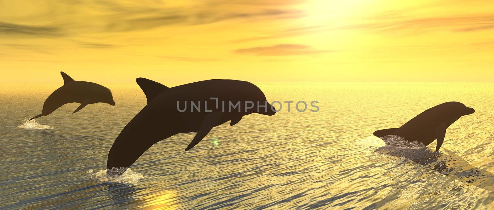 dolphins in the ocean at sunset