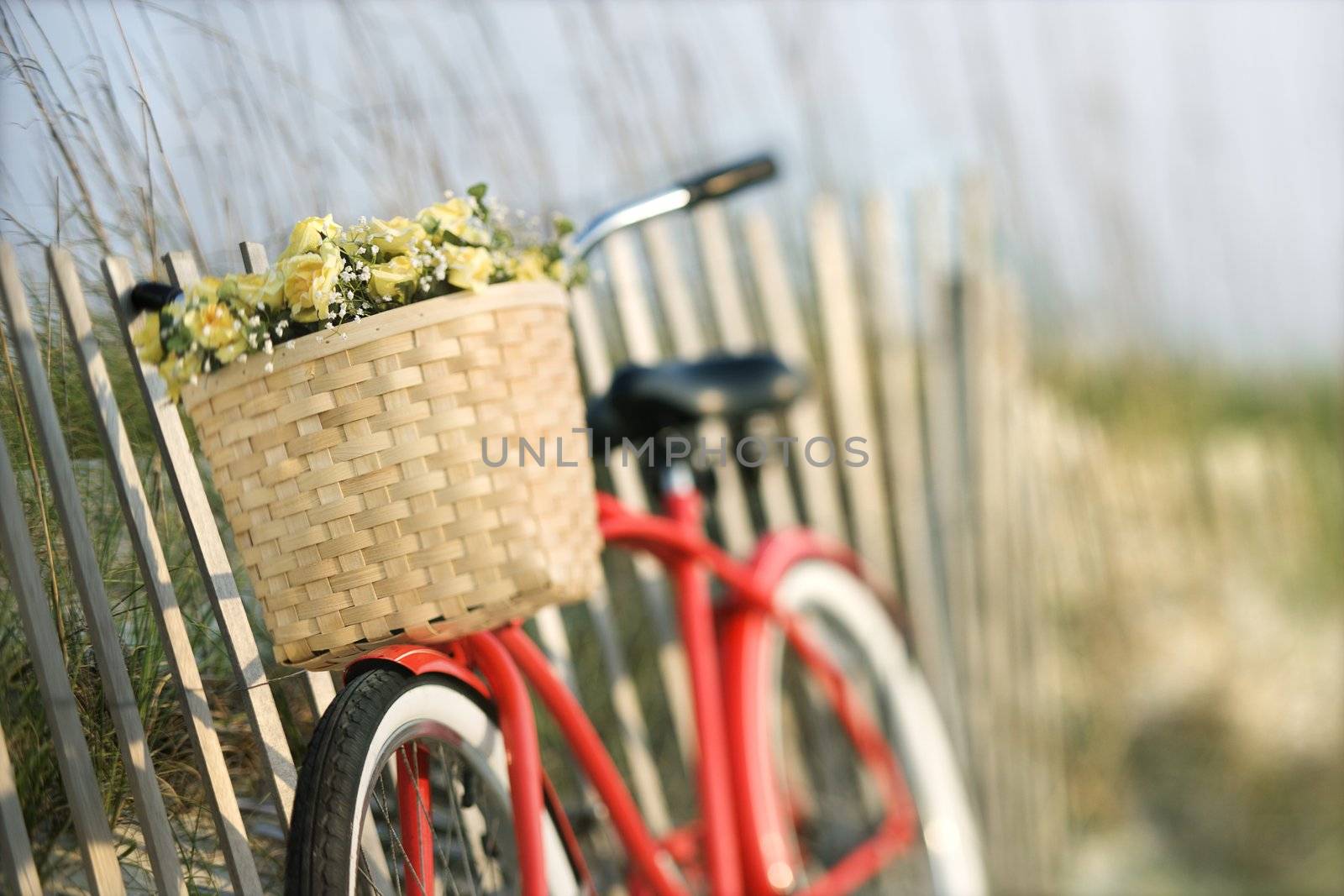 Bicycle with flowers. by iofoto