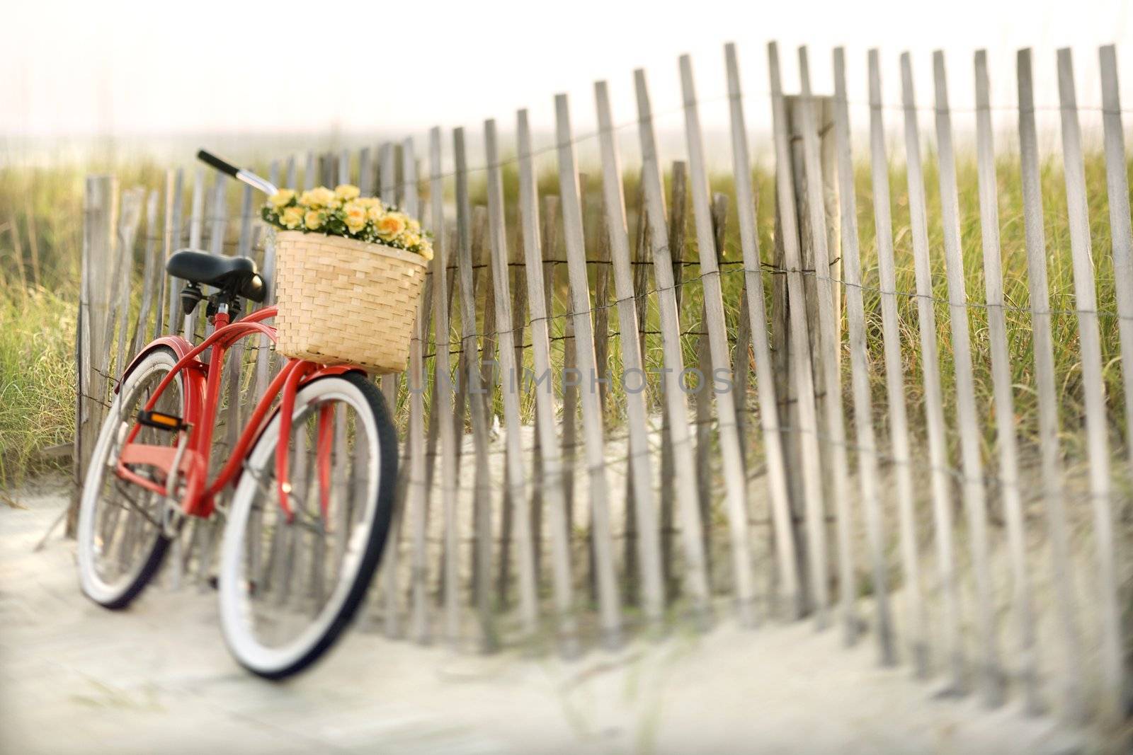 Bike at beach. by iofoto