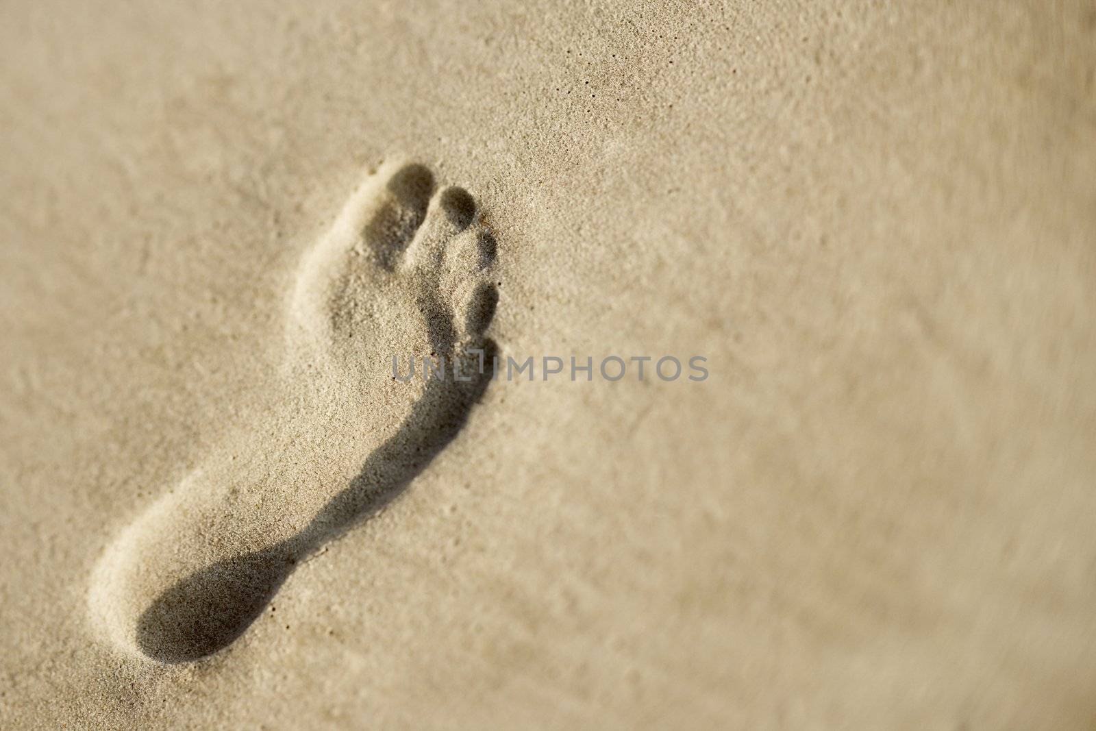 Footprint in sand. by iofoto