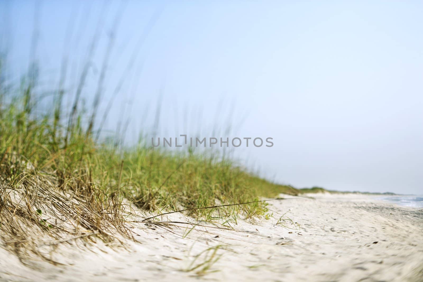 Sand dune. by iofoto