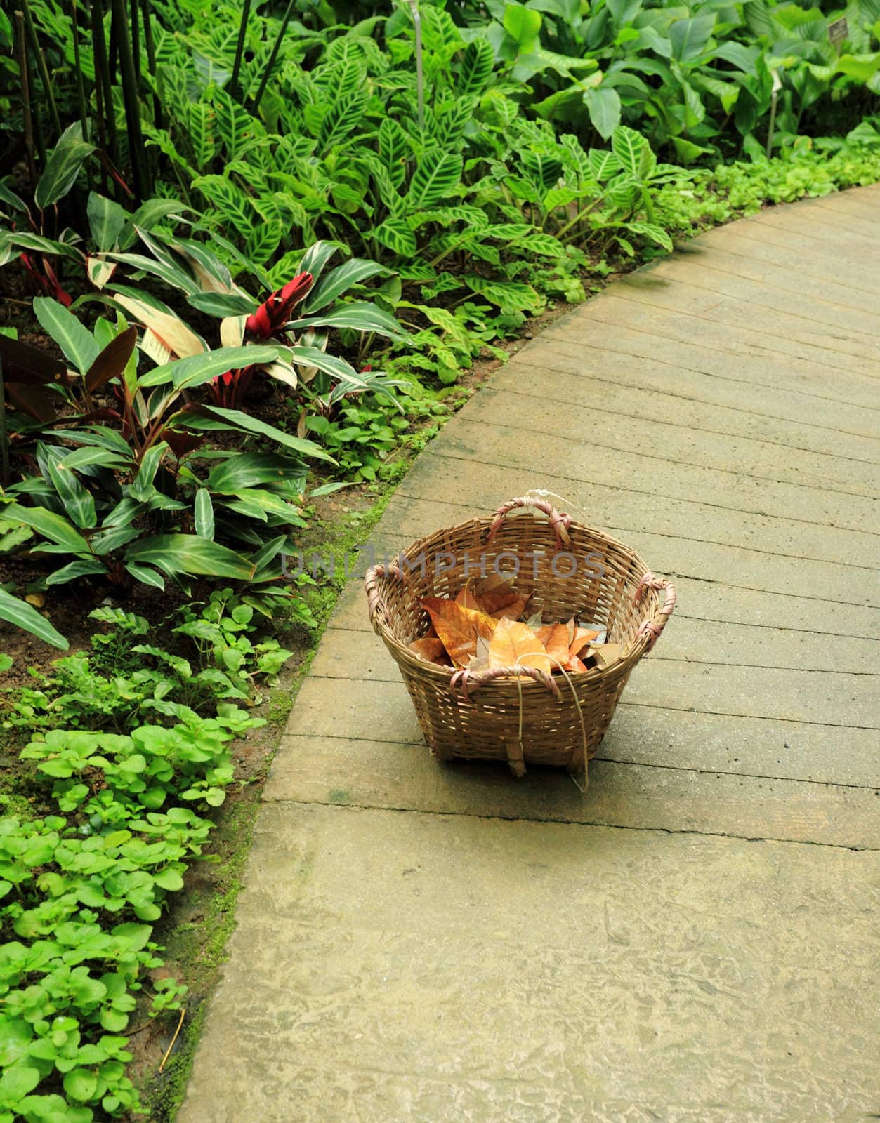 basket in garedn with dry leaf by leungchopan