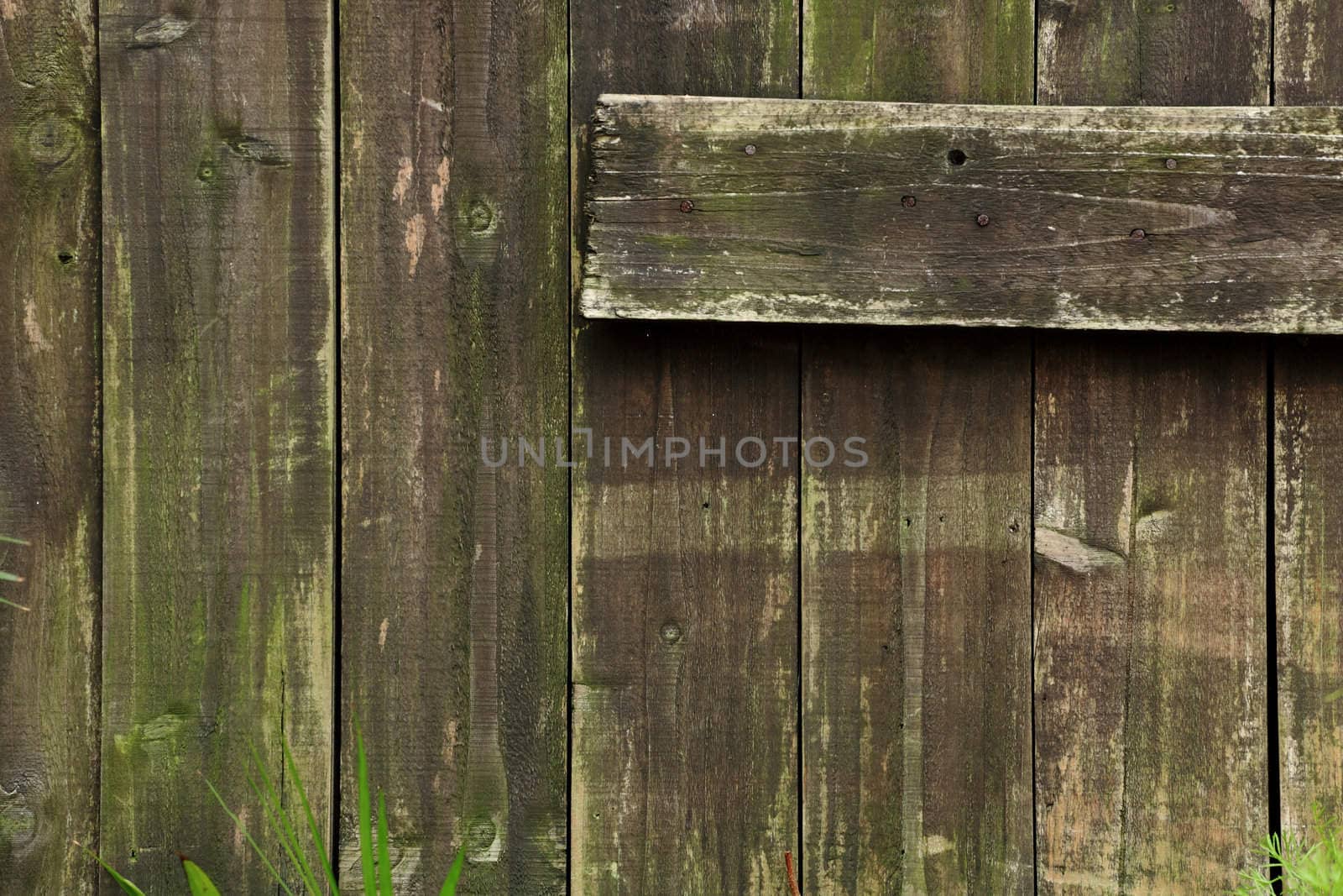 old wood with some moss background