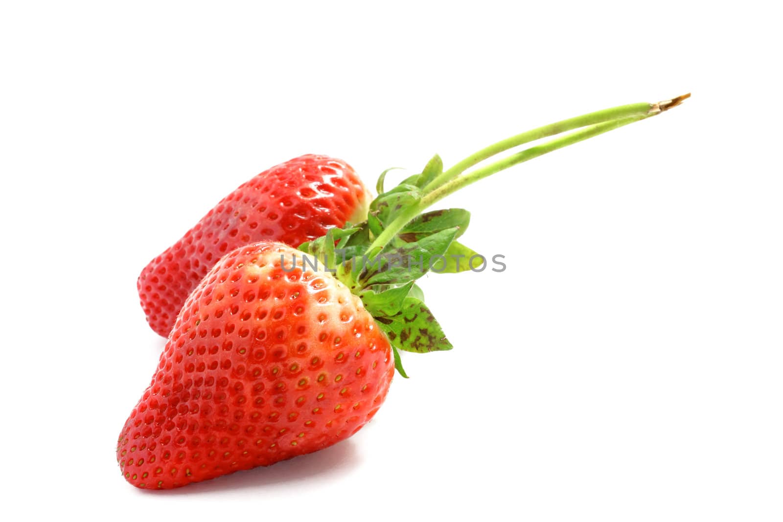 two strawberries on white background
