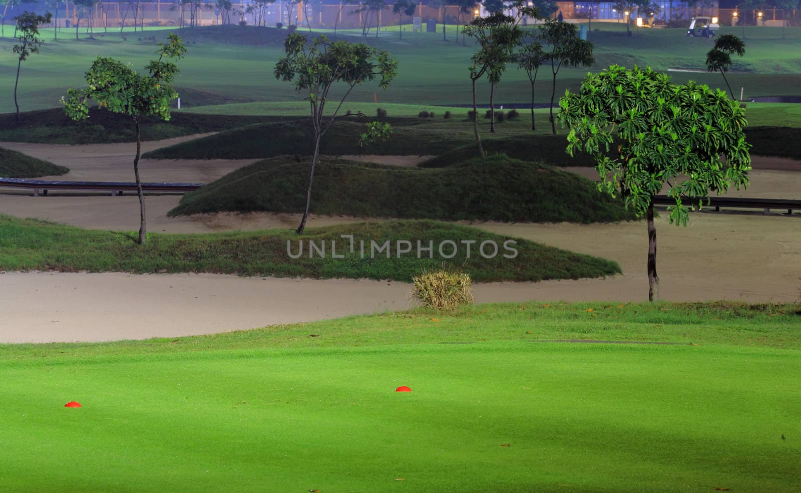 golf court at night