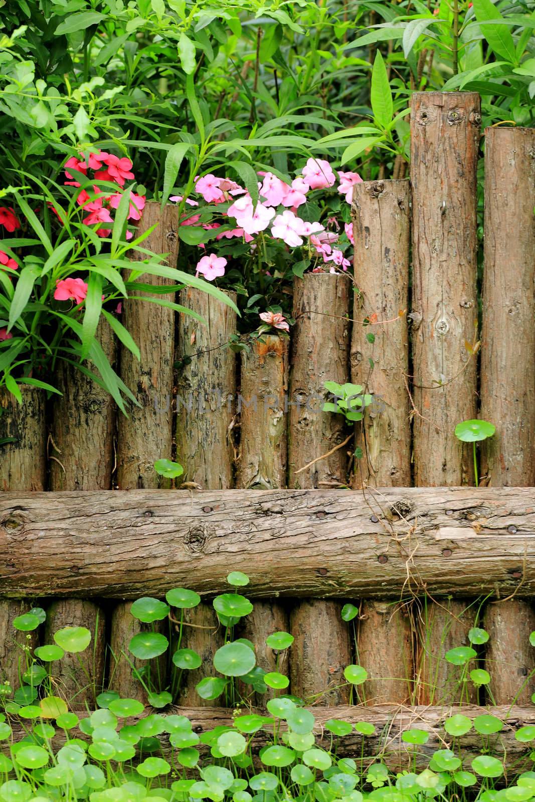 wood fence in garden