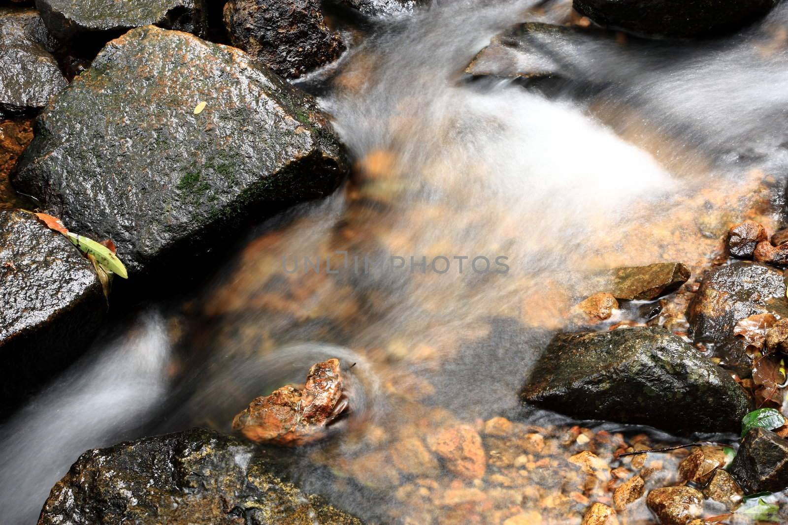 The beautiful spring in forest , long exposure