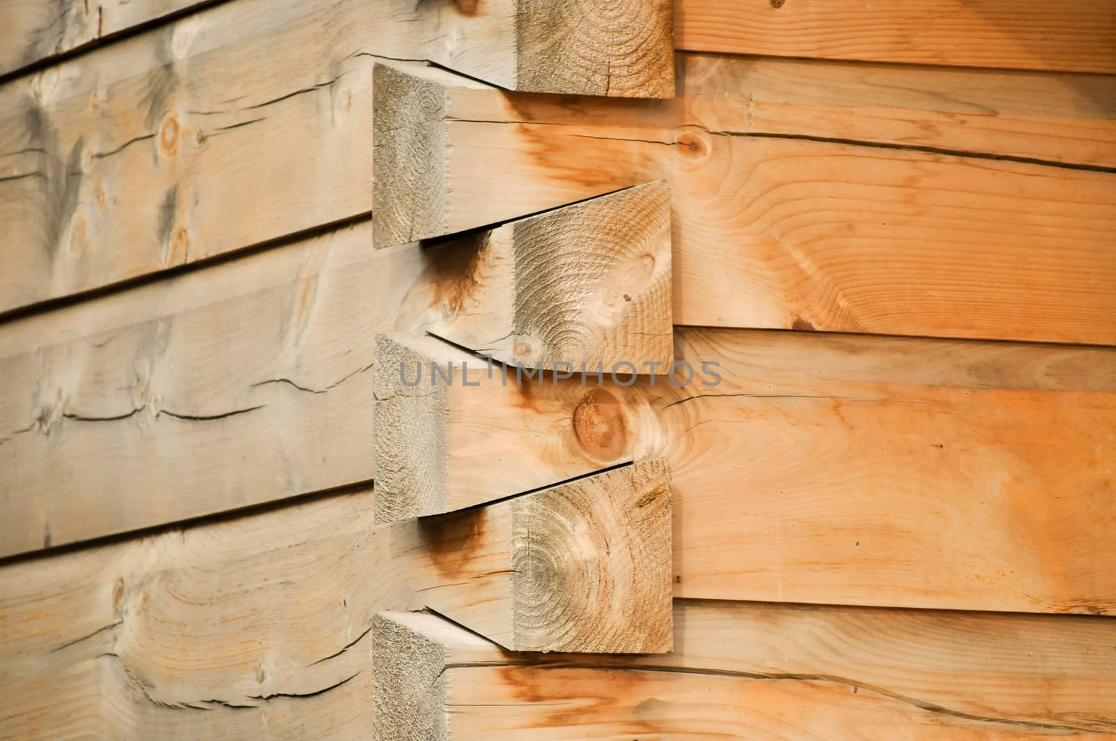 Cabin Corner by RefocusPhoto