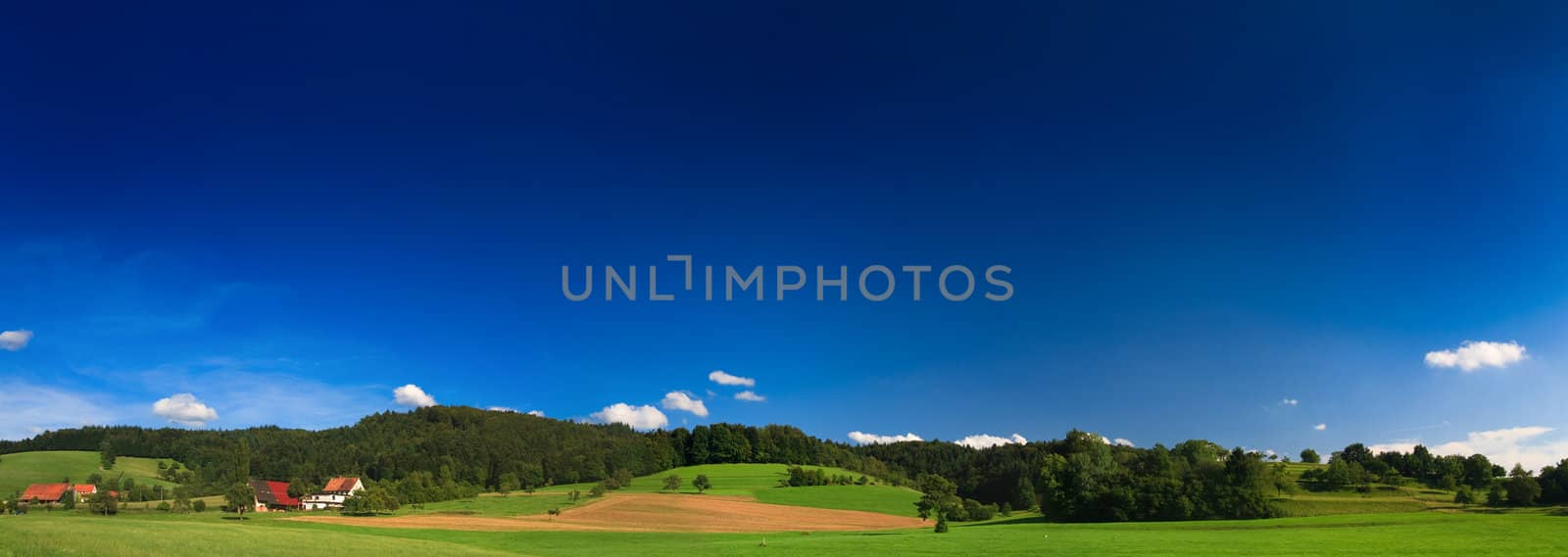 sumer landscape at Germany wiht blue sky and mountain