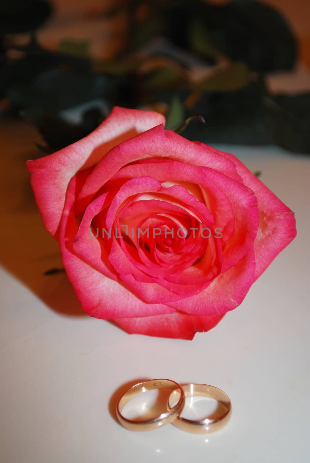 wedding rings and rose