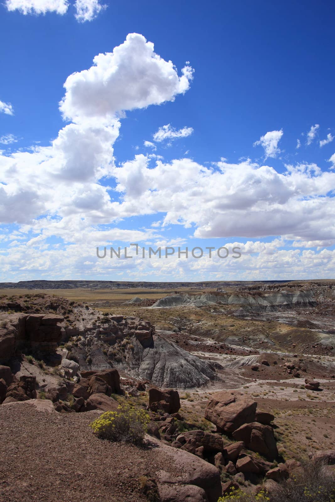Painted Desert, part of Petrified Forest National Park
