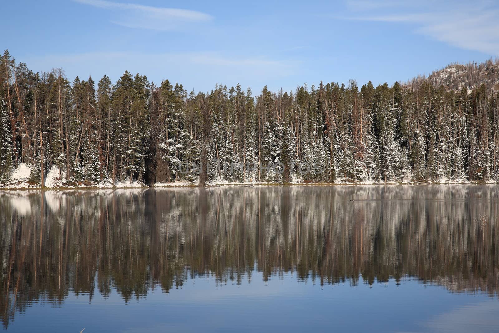 Early morning reflections on a mountain lake in Wyoming
