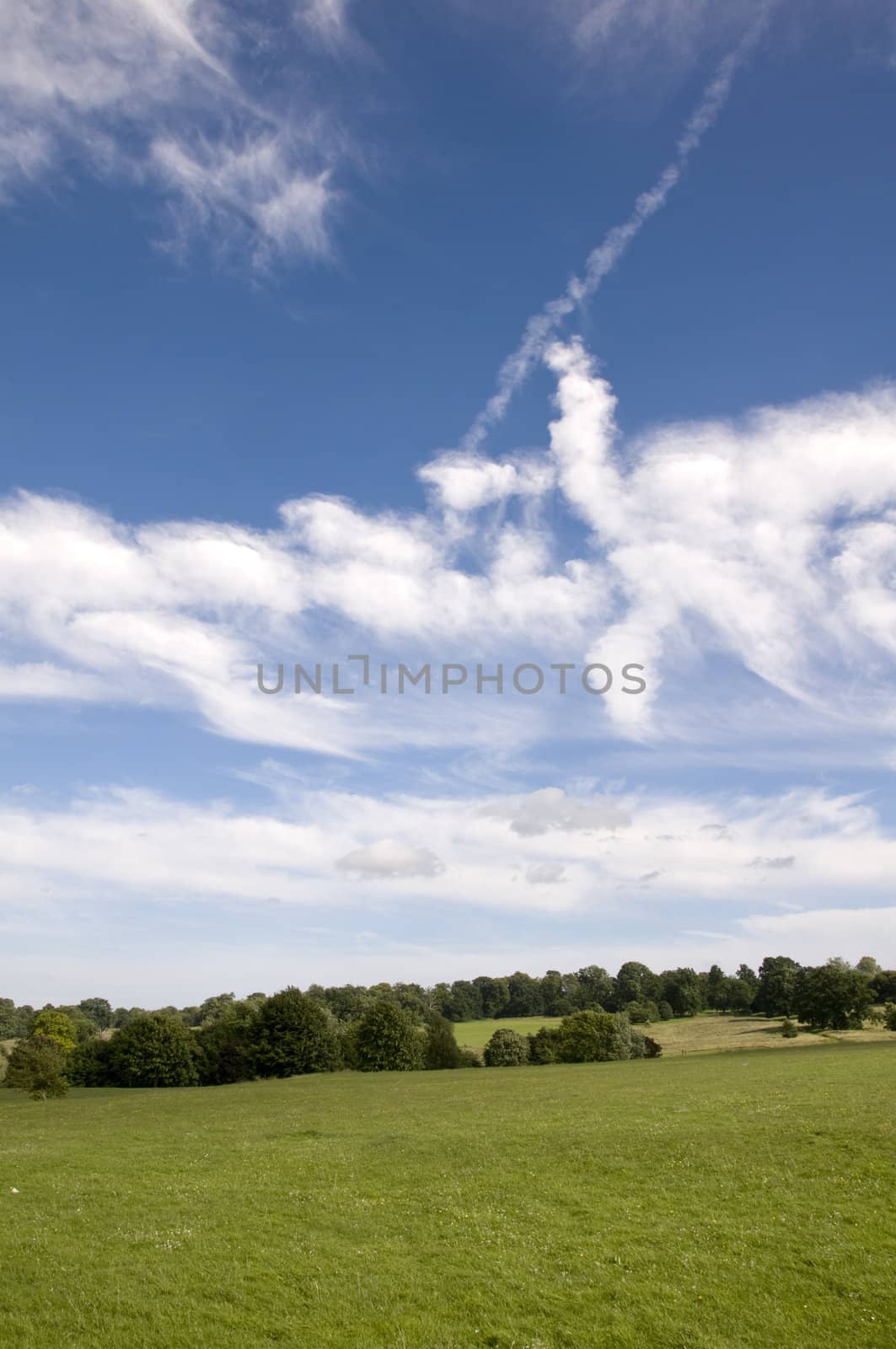 A view of parkland in summer with a cloudy sky