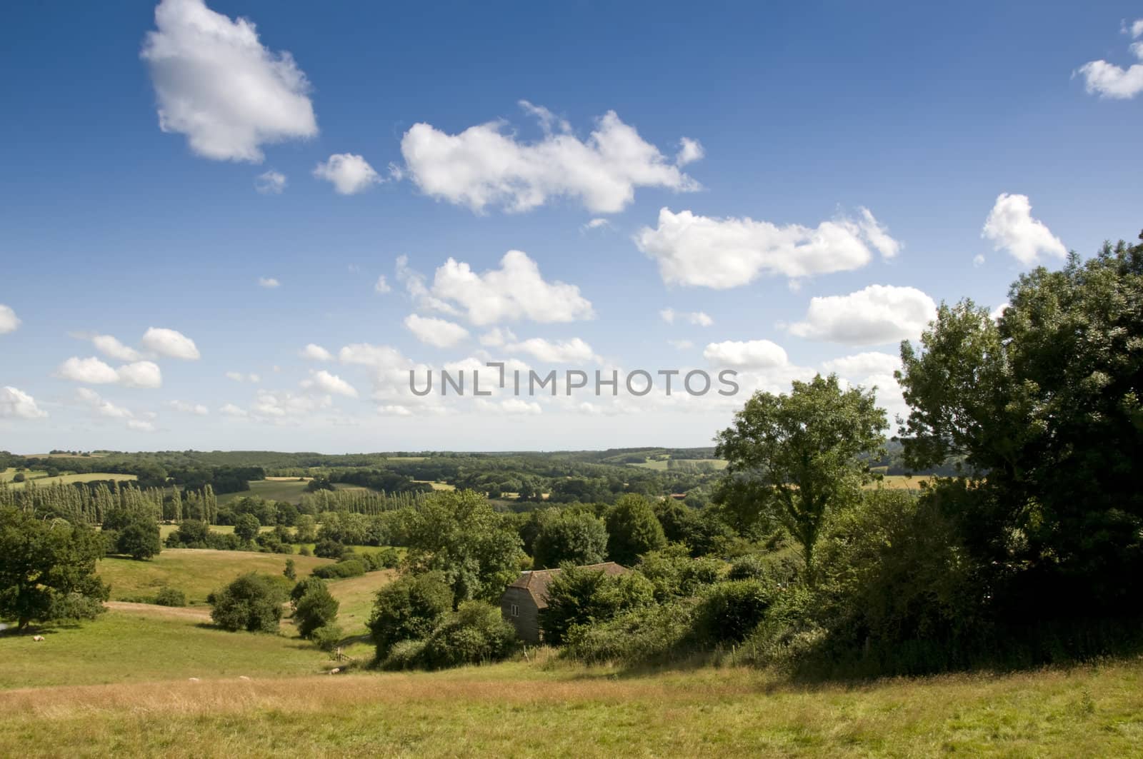 A view of parkland in summer with a cloudy sky