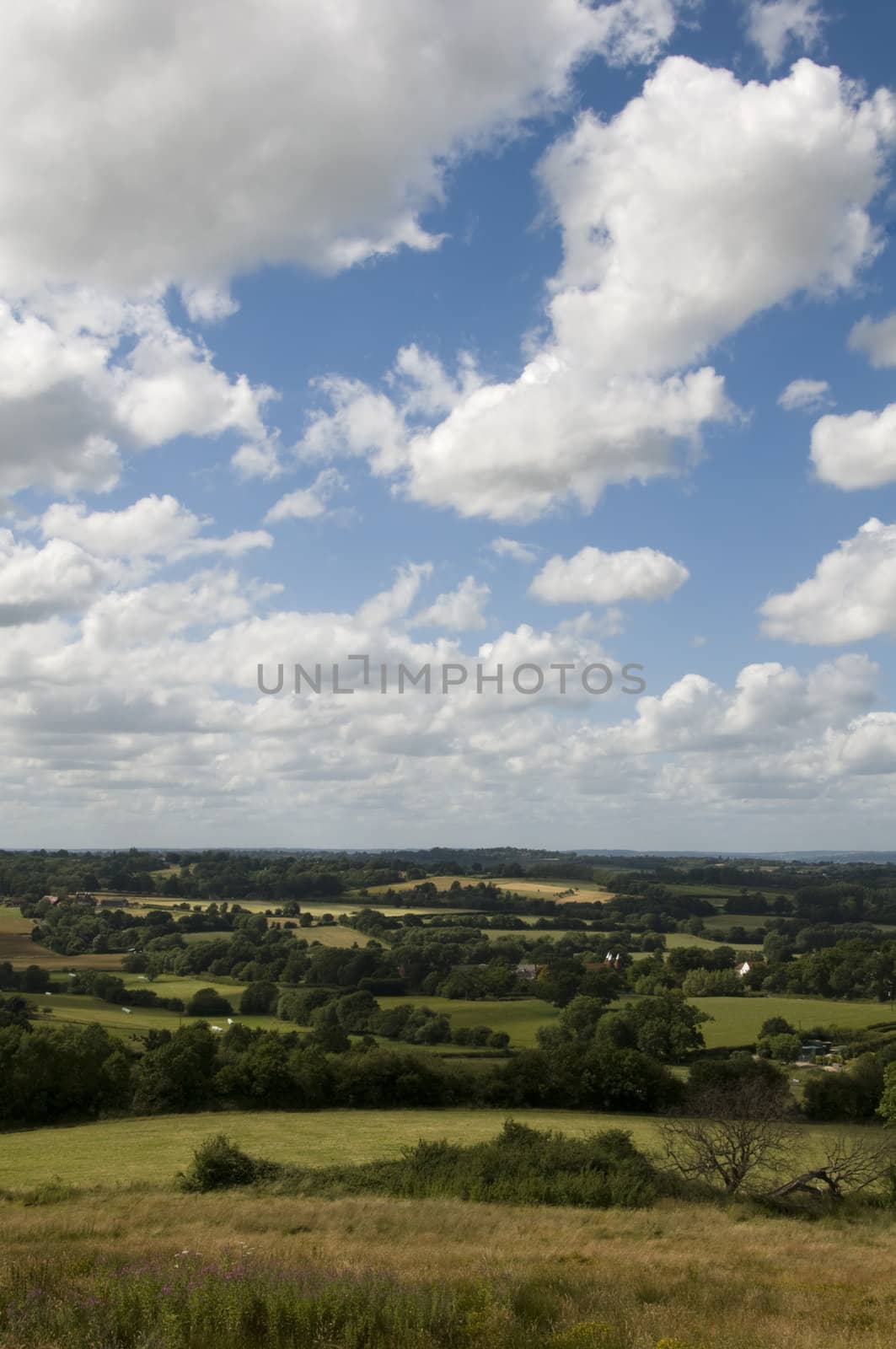 A view of the countryside in summer with a cloudy sky