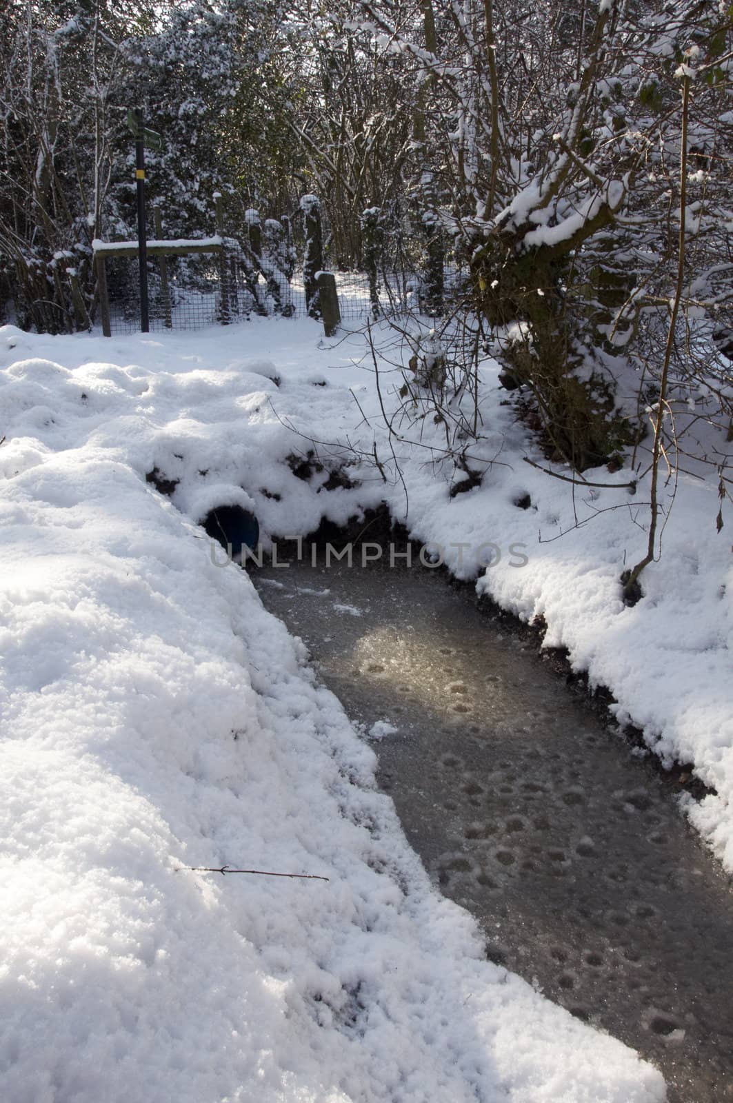 A stream in the snow with trees in the background