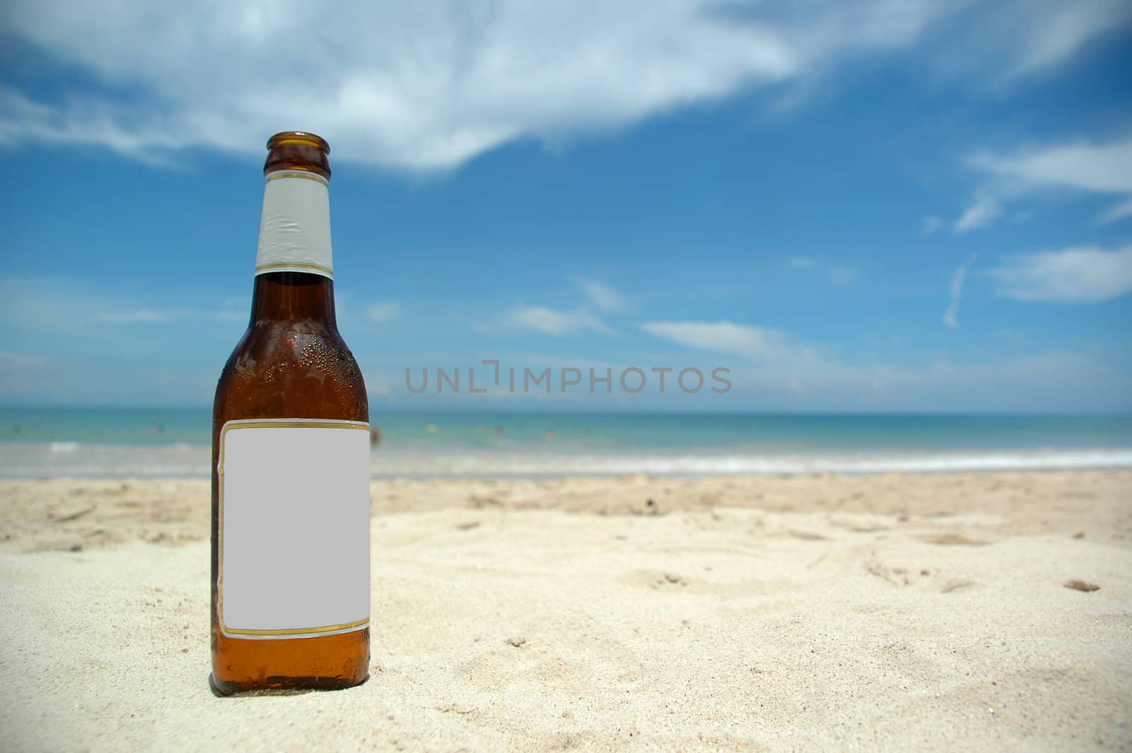 Beer and beach (blank)insert your own logo or tekst on the beer lable.