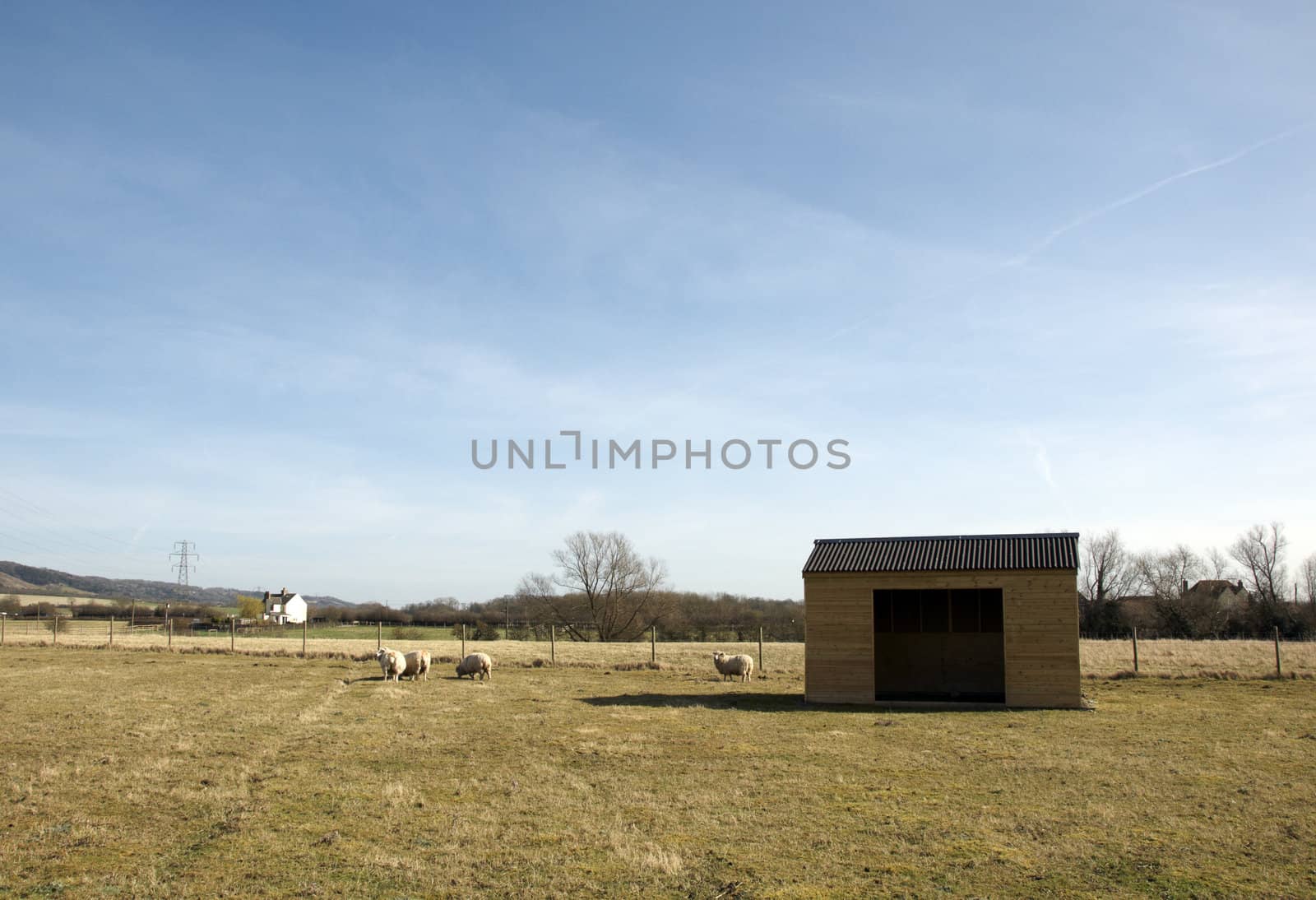 A wooden shed in field of grass