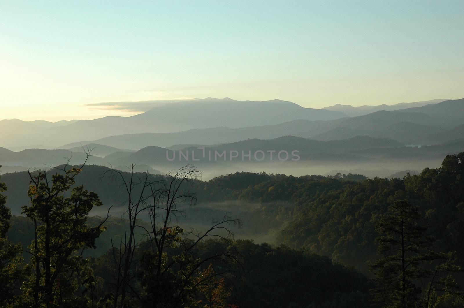Misty Mountain Morning by RefocusPhoto
