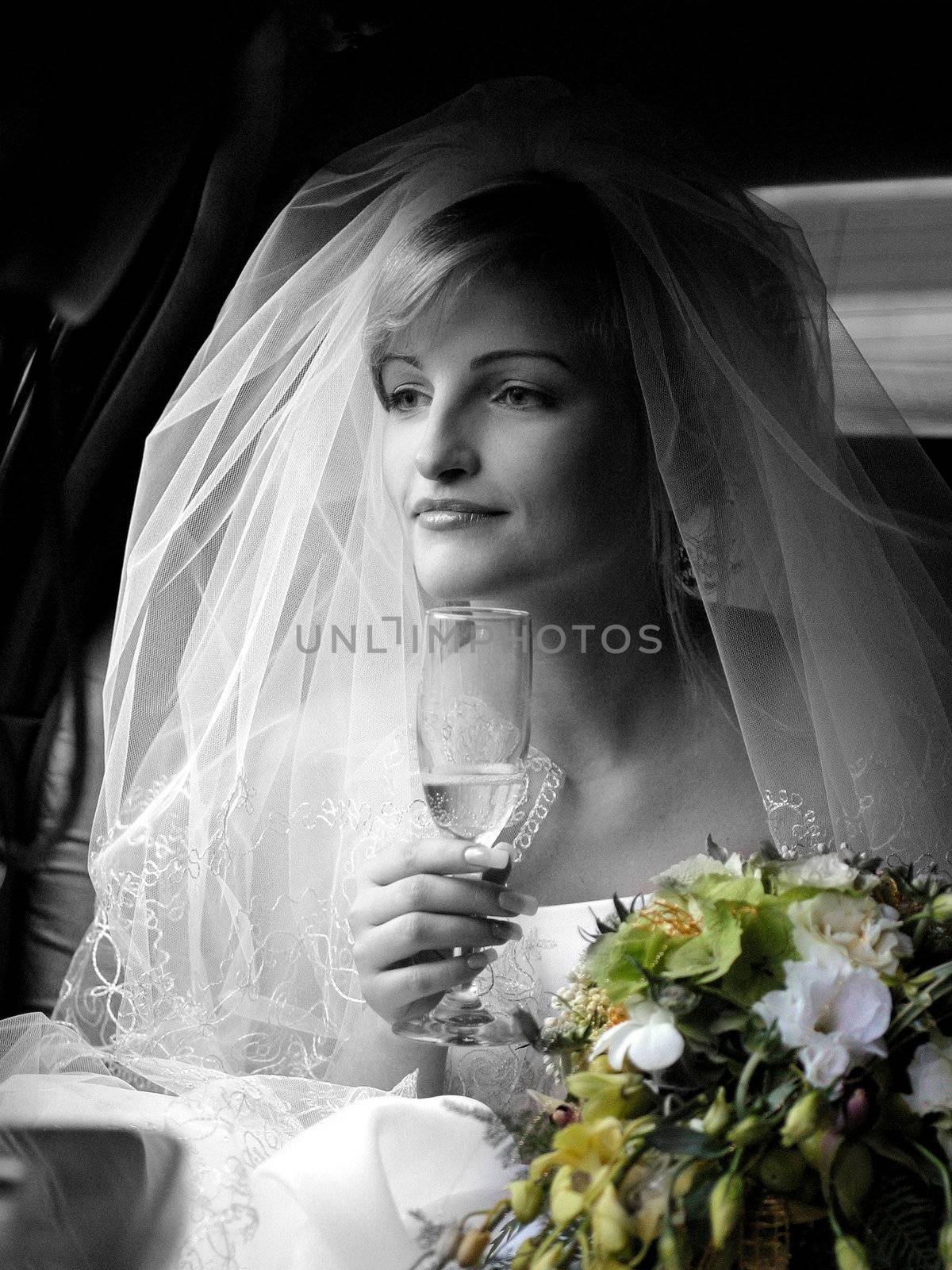 Portrait of beautiful bride by speedfighter