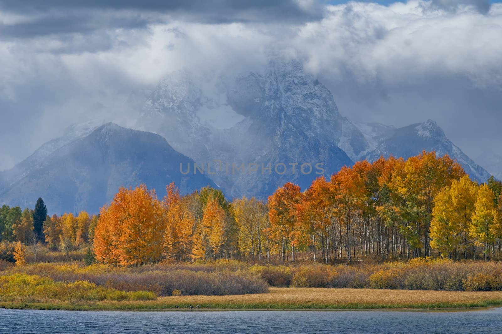 View of Fall clashing with Winter at Grand Tetons