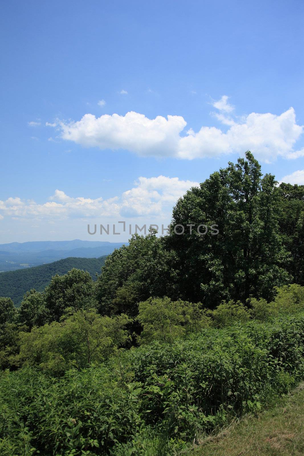 Summertime view from scenic Blue Ridge Parkway