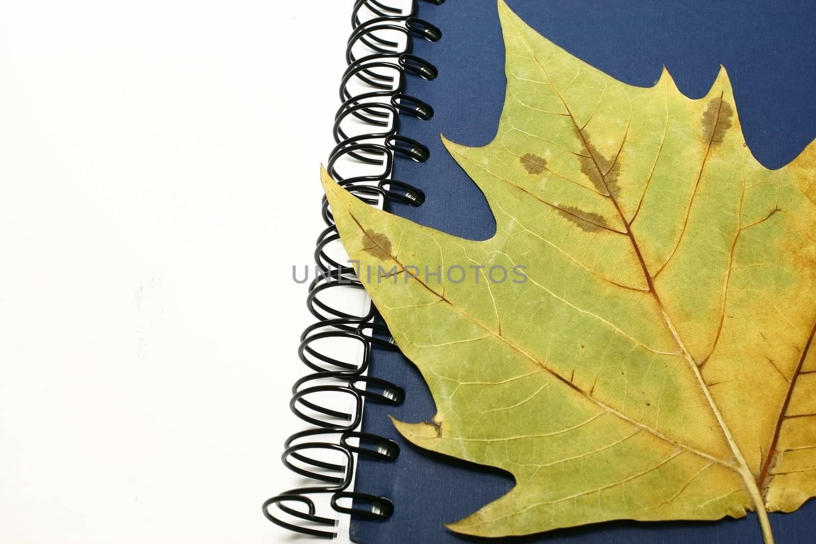 Spiral Notebook And Leaf by sacatani