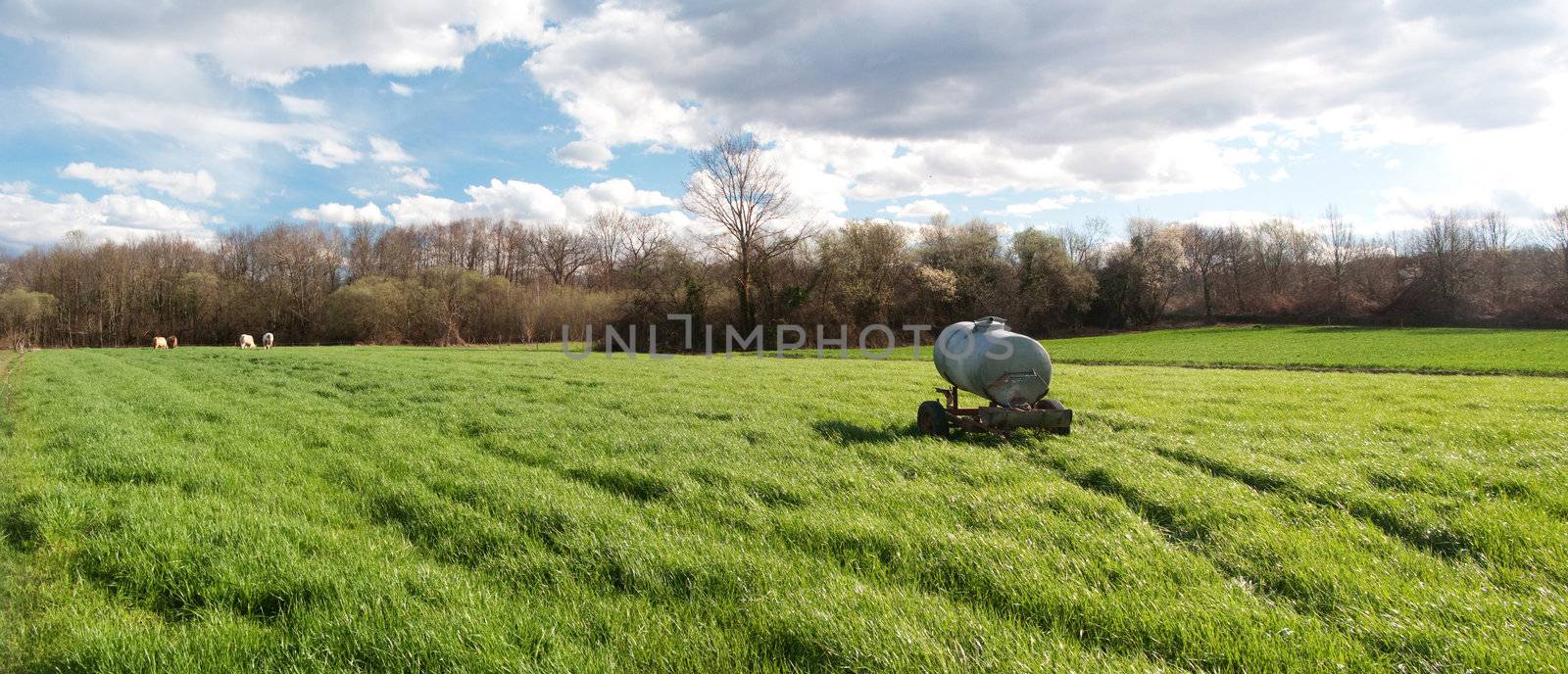 Panoramic view of  a metallic waterer in the middle of a fresh green field of grass