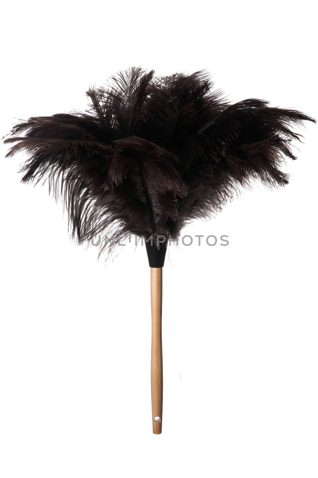 Black ostrich feather duster with wooden handle isolated on white background