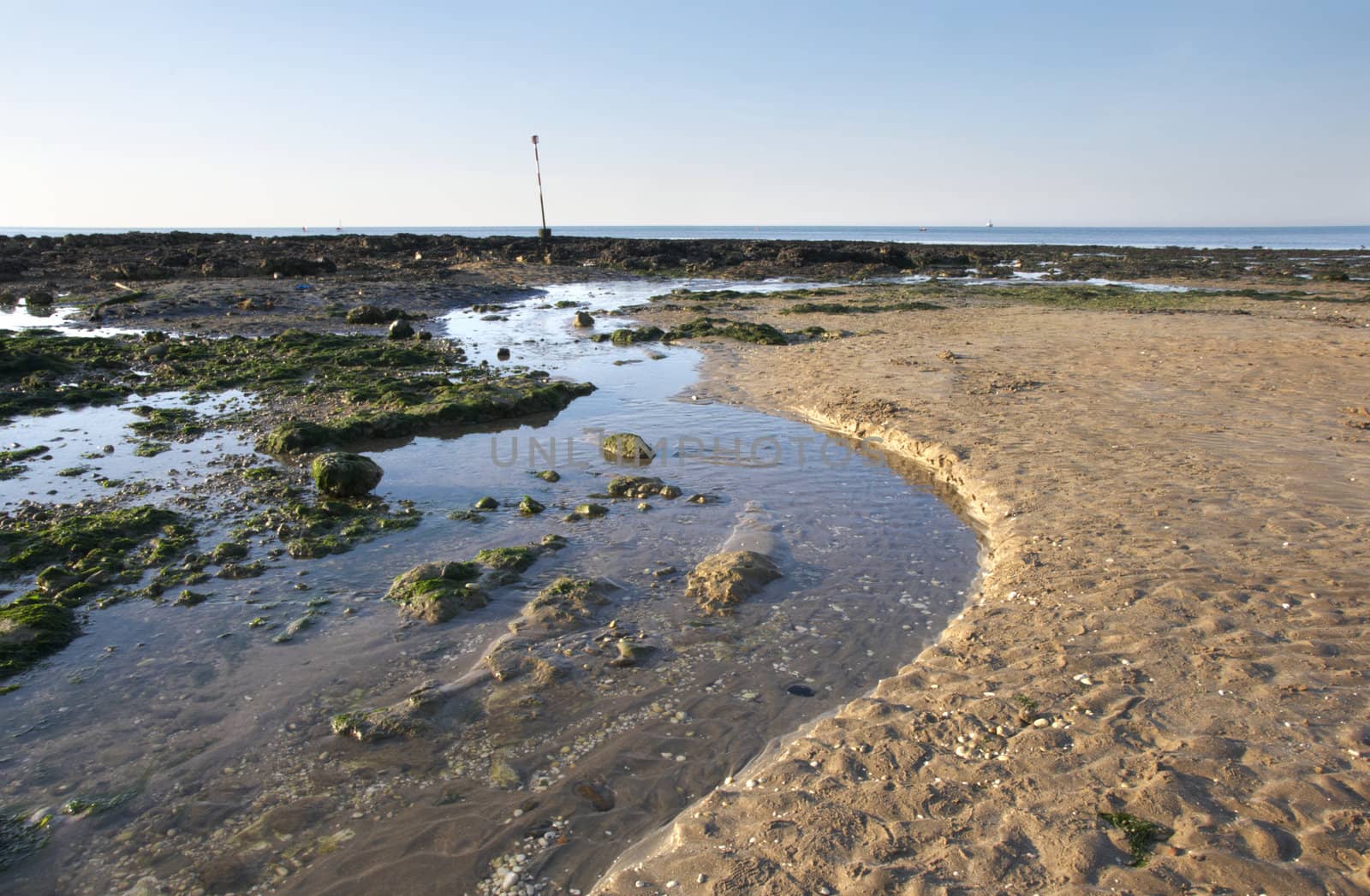 Seaweed and rocks on a sandy beach in England