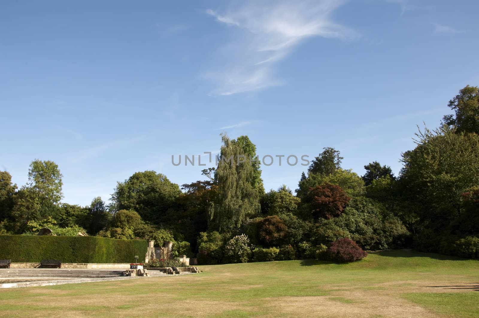 A garden with trees in the background