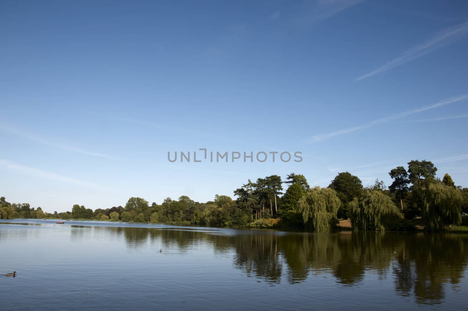 A lake in summer with trees in the background