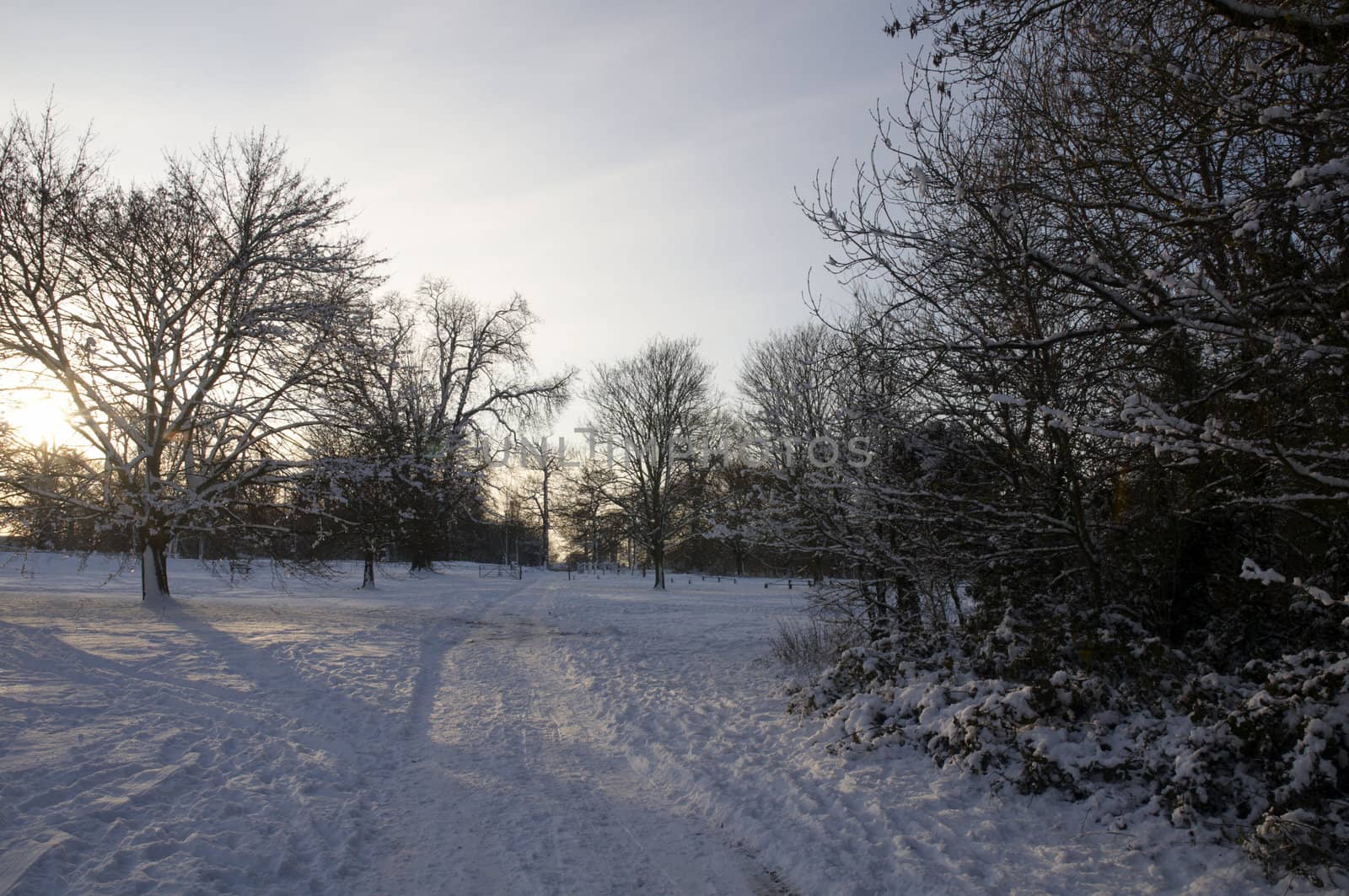 A view of a park covered in snow on the ground and trees