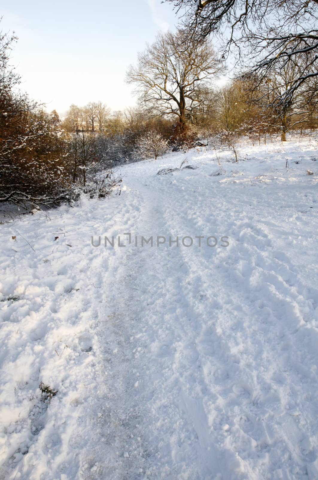 A field covered in snow with trees in the background